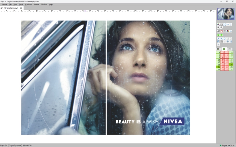 Publication Spread